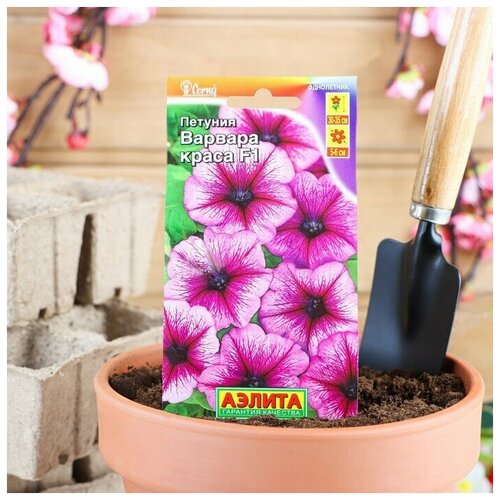 ���� ������� 