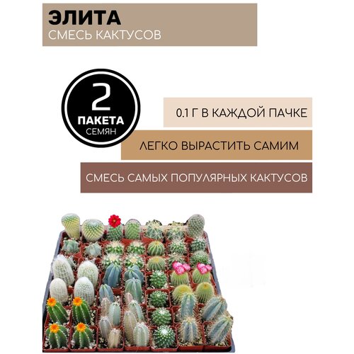 ���� ����� ������� ����� ����� 2 ������ �� 0,1� �����, ������ �� 368 ���