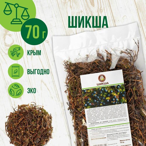 ���� ����� ������, 70��, ������ �� 250 ���