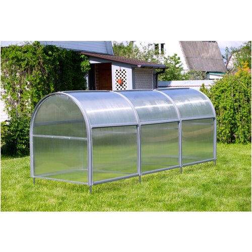 ���� ������ ��� 