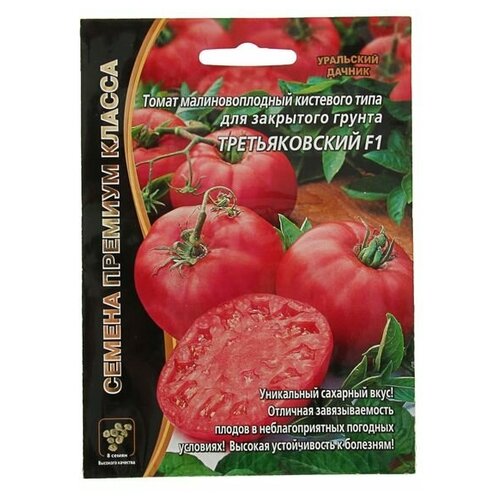 ���� ������ ����� 