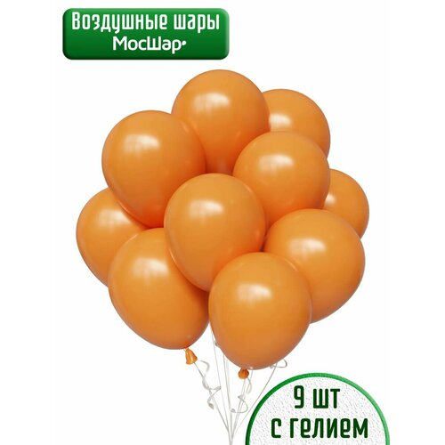     ,  ,   -  9 ,   1600 