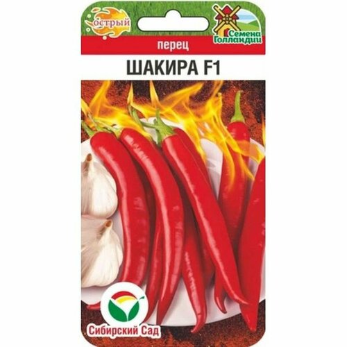 ���� ������ ����� ������ ������ F1 ��. (��������� ���) 5��, ������ �� 172 ���