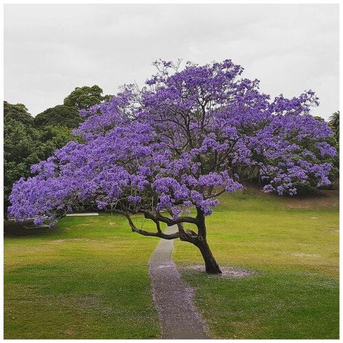 ���� ������ ������ ��������� 30 ��., ������ �� 300 ���