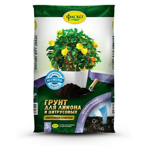 ���� ����� ��� ���������� � ������ 5� ��������� ������� ����� ., ������ �� 372 ���