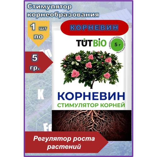   TUTBIO, 5 - 1    -     , -, 