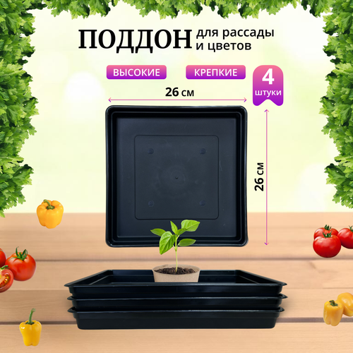 ���� ������ ��� ������� 260�260�40��, �����������, ������, ����� 4��, ������ �� 555 ���