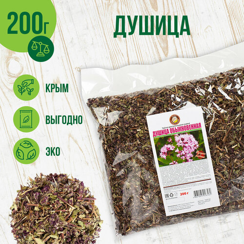 ���� ������ �������, 200�, ������ �� 310 ���