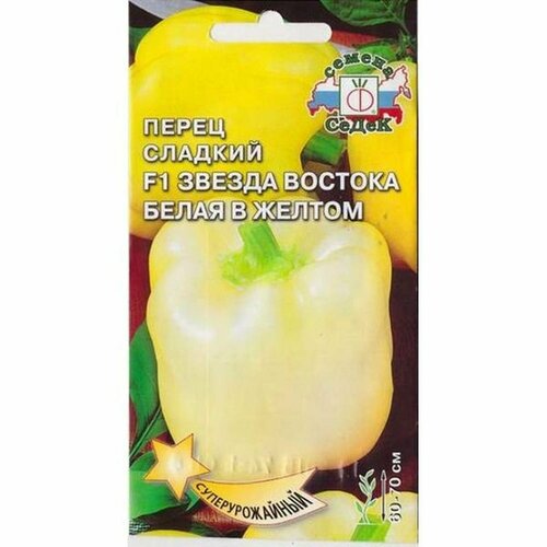 ���� ������ ����� ������� ������ ������� ����� � ������ F1 (�����������) (�����) 0,1�, ������ �� 151 ���