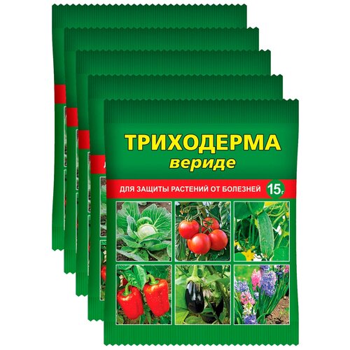    -      , 5 .  15 ,   279 