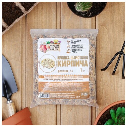 ���� ������� ������� ������ ������ ��������� ������� 