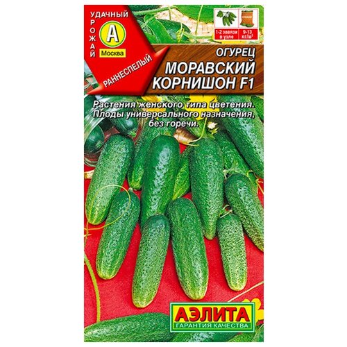 ���� ������. ������ 