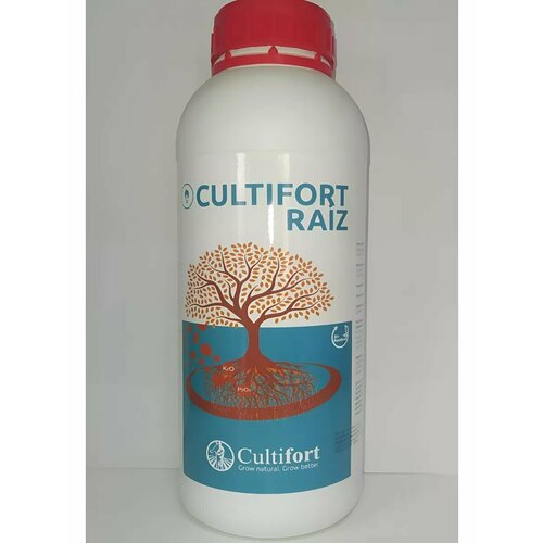 ���� ���������� ���� 1� Raiz, ������ �� 4556 ���