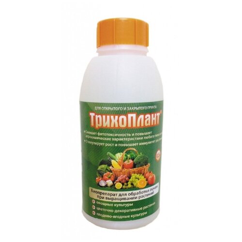 ���� ������� ���������� 0,5 �, ������ �� 495 ���