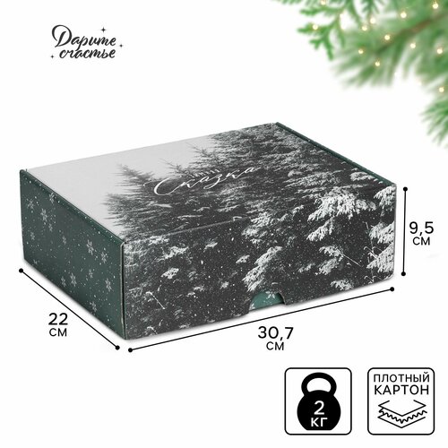 ���� ������� ���������� ������� ������, 30.7 � 22 � 9.5 ��, ����� ���, ������ �� 308 ���