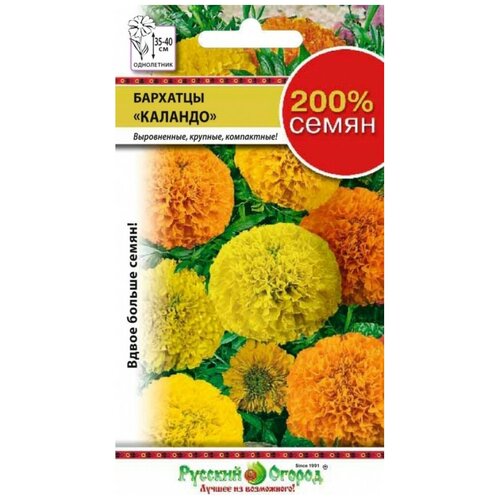 ���� ������. �����. �������� 