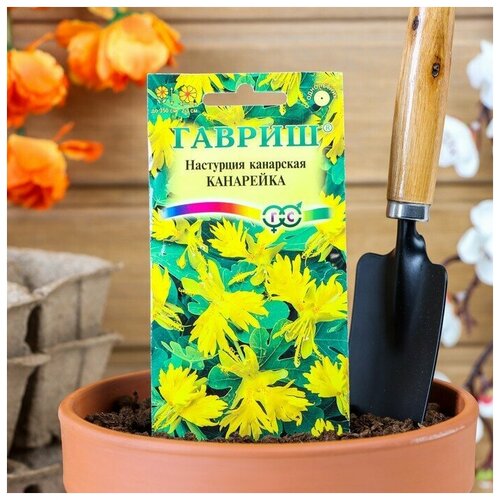 ���� ��������� ��������� ���������, 0,7 �, ������ �� 68 ���