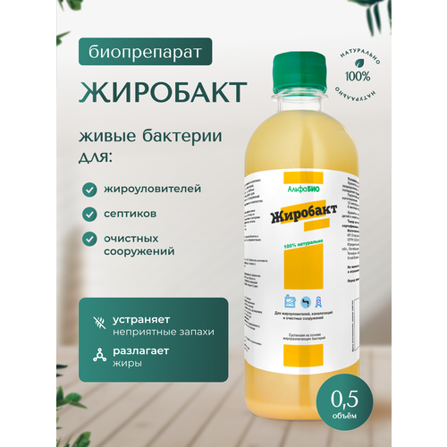 ���� �������� - �������� ��� ��������������, �������� � �������� ����������. 0.5 �., ������ �� 799 ���