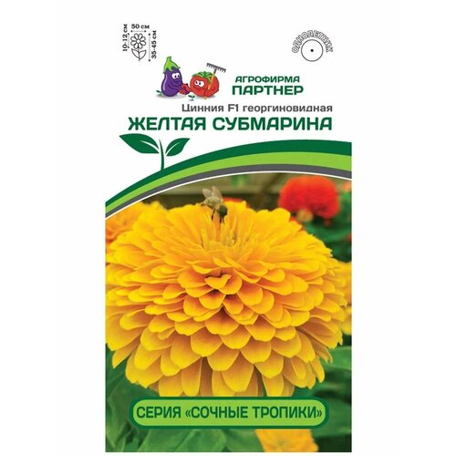 ���� ������ ������ 