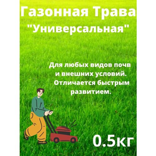 ���� �������� ����� 