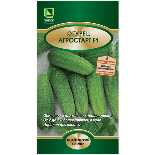 ���� ������ ������ 