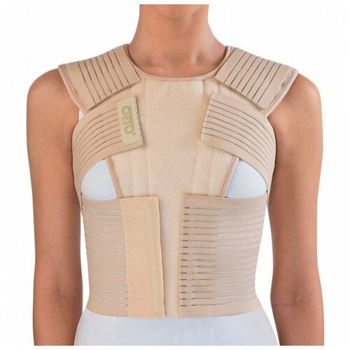 ���� ������ �� ������� ������ Orto �� 440 (L), ������ �� 5170 ���