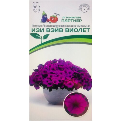 ���� ������ ������� �������������� ��������-��������� 