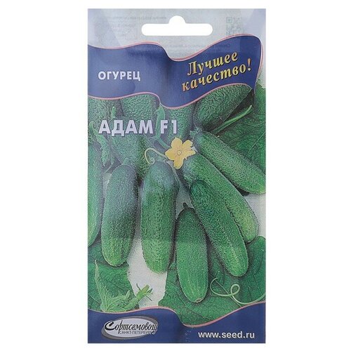 ���� ������ ������ ����, f1, 6 ��., ������ �� 133 ���