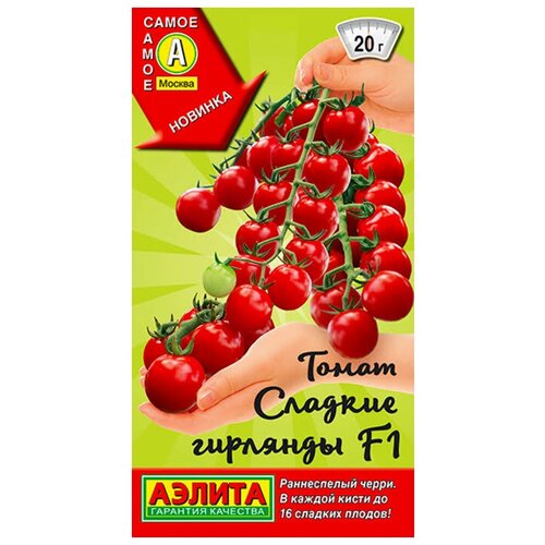 ���� ������. ����� 