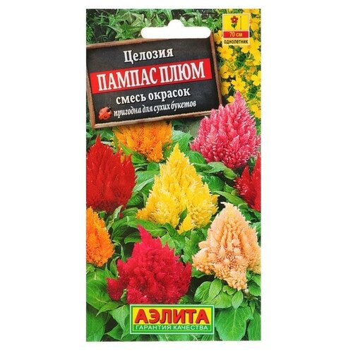 ���� ������. ������� �������� 