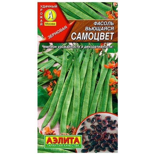 ���� ������. ������ �������� 