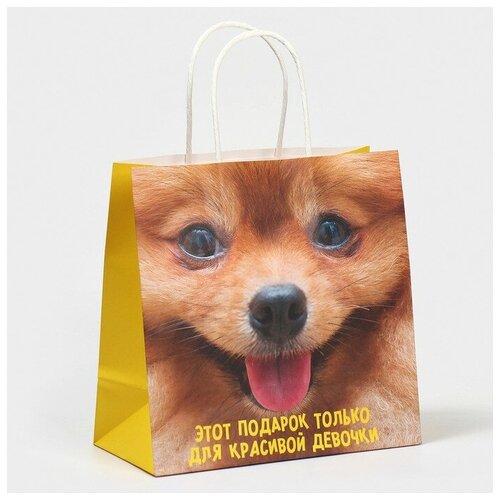 ���� ����� ���������� ����������, 22 � 22 � 11 ��, ������ �� 201 ���