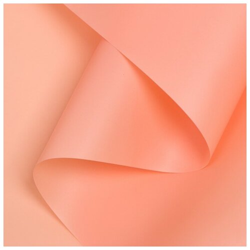 ���� ������ ����������� ����-���� 