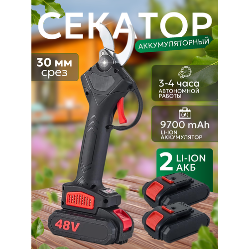 ���� ������� ������� ��������������, �������� 2 ��� � ���������, ������ �� 3000 ���