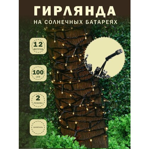 ���� INBLOOM �������� ��. ���� �� ����. �������, 100LED,12�, �������, 2 ���, ���, IP44,2V120mA,1.2V800mAh, ������ �� 791 ���