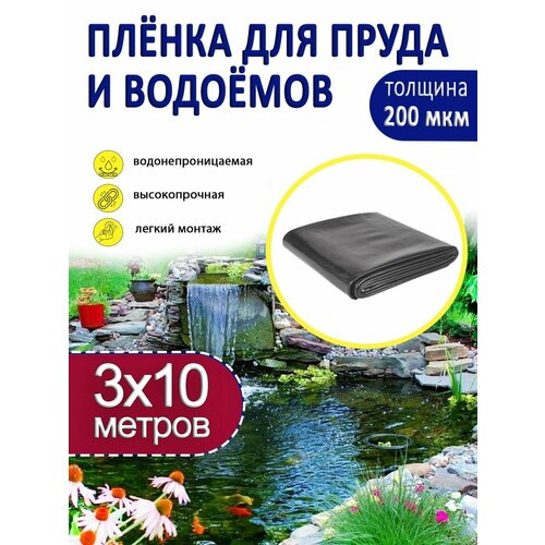 ���� ������ ��� ����� � �������, ������ �� 1675 ���