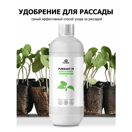     ,      (Purshat)  1 ,   617 