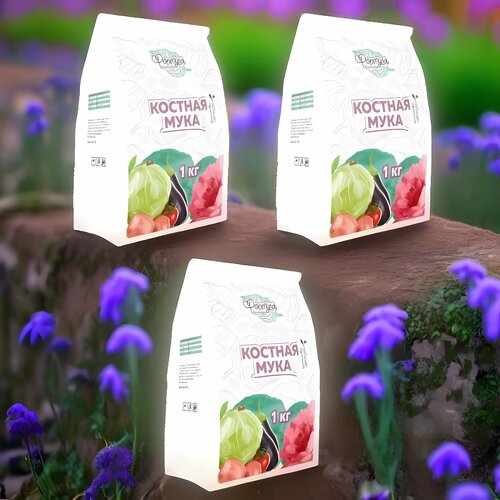 ���� ������� ���� 1�� / 3��. ������� �������., ������ �� 565 ���