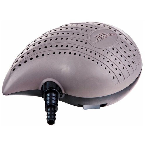 ���� ����� ��� ����� 