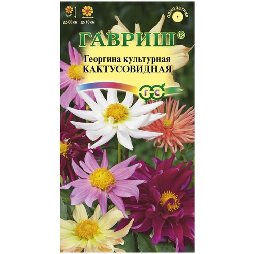 ���� ������ �������� ������������� ����, ������ �� 233 ���