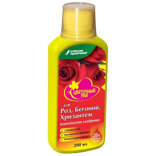 ���� 2000�� ��������� ���, ��� ���, ������� � ���������, 200 �� � 10�� ��������� ������� ���������, ������ �� 272 ���