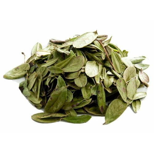 ���� �������� ����, 200 ��., ������ �� 401 ���