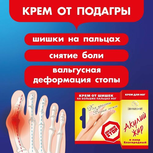 ���� ������ ����. ���������. ���� �� ����� �� ������� ���. ������ ��� � ������ �����������. ����� 20 �� / ������, ������ �� 386 ���