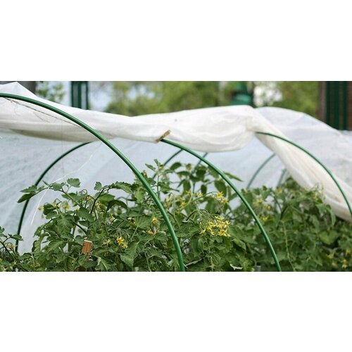 ���� ������ ������� ������� 5� ���� 3�, ������ �� 2000 ���