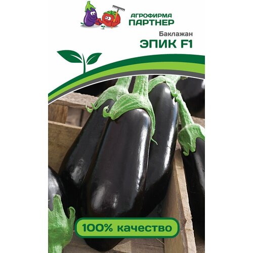 ���� ������ ��������� 