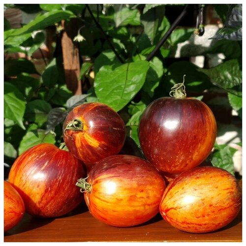    (. Solanum lycopersicum)  10,   312 