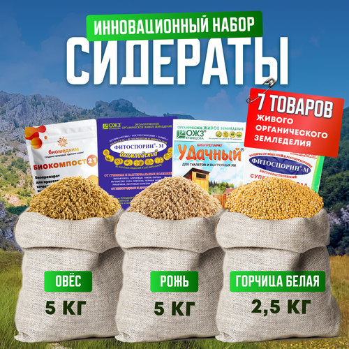 ���� ������� ���� 5��, ���� 5��, ������� ����� 2.5��, ������� �����������, �����������, ����������� ��, ���������� 21, ������ �� 2160 ���