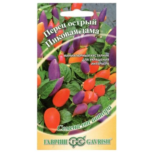 ���� ������. ����� ������������� 