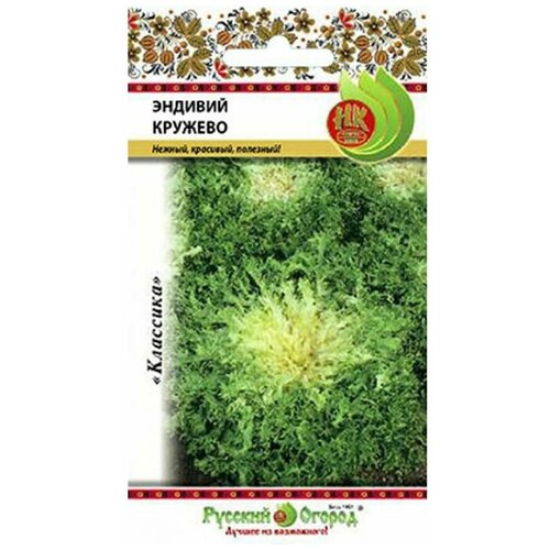 ���� ������. ����� �������� 