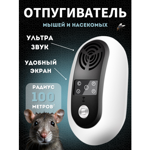 ���� ������������ ����� � ��������� ��������������, ������ �� 750 ���